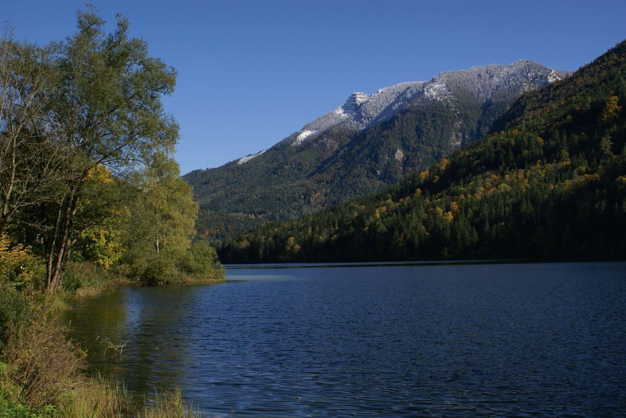 Landhotel Zellerhof Lunz am See Bagian luar foto